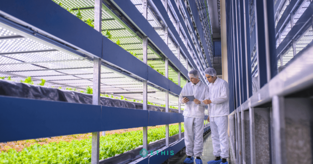 The Future of Agritech in Malaysia as a Booming Market