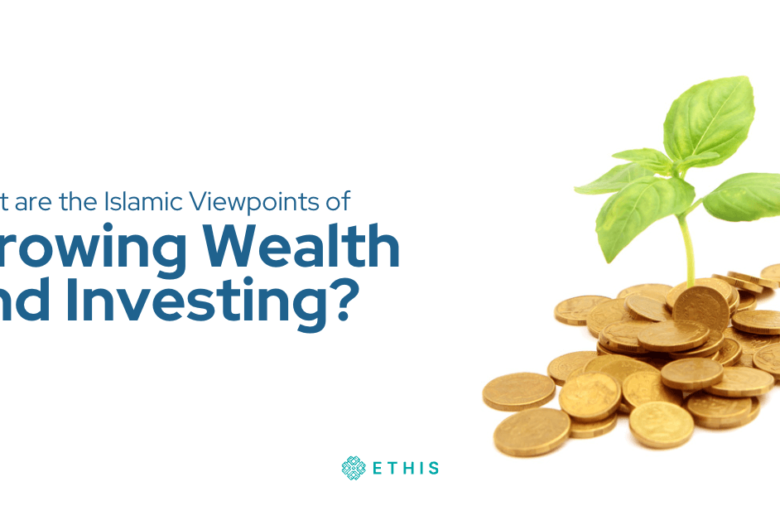 What are the Islamic viewpoints of growing wealth and investing