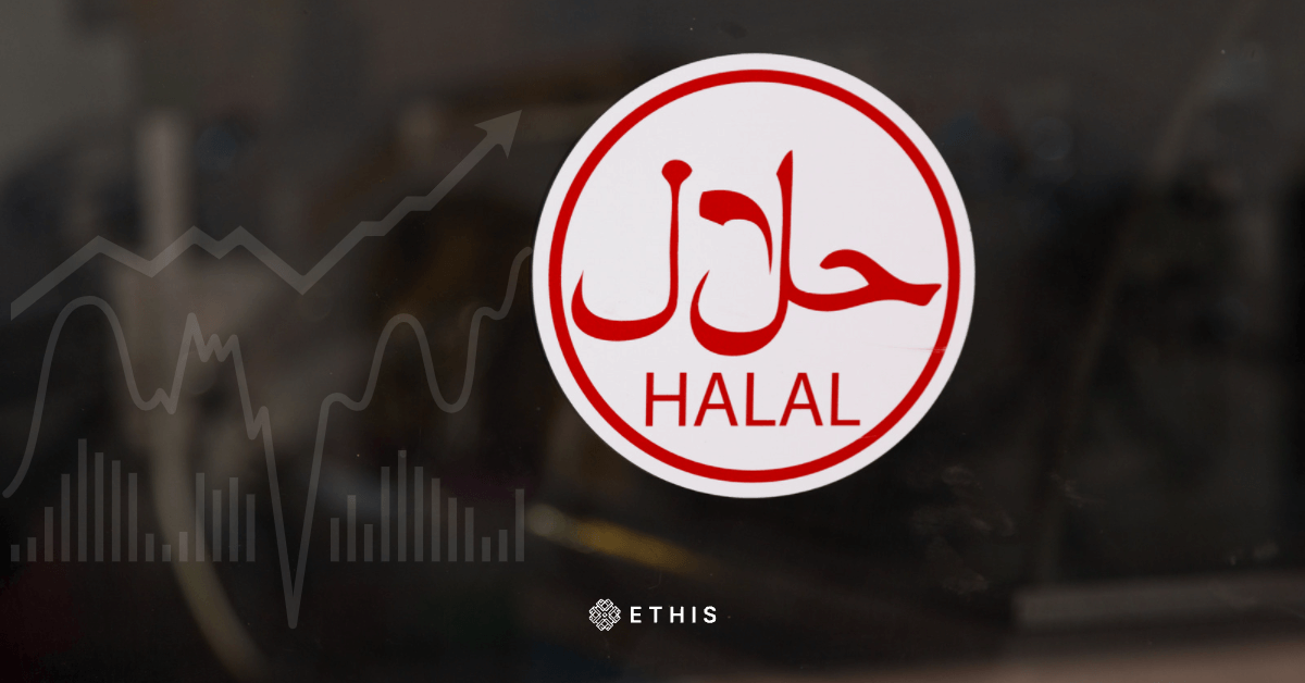 Halal Stocks vs Halal Mutual Funds Ethis Blog